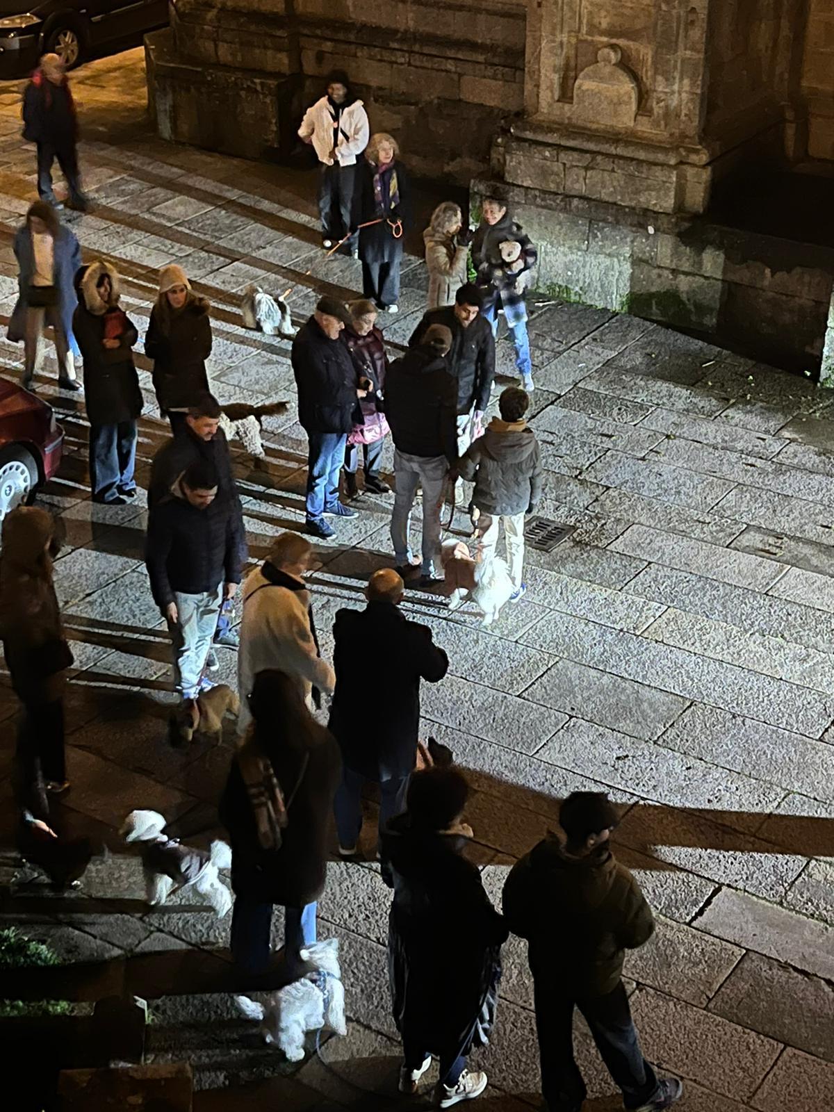 Bendición de animales por San Antón en Santiago