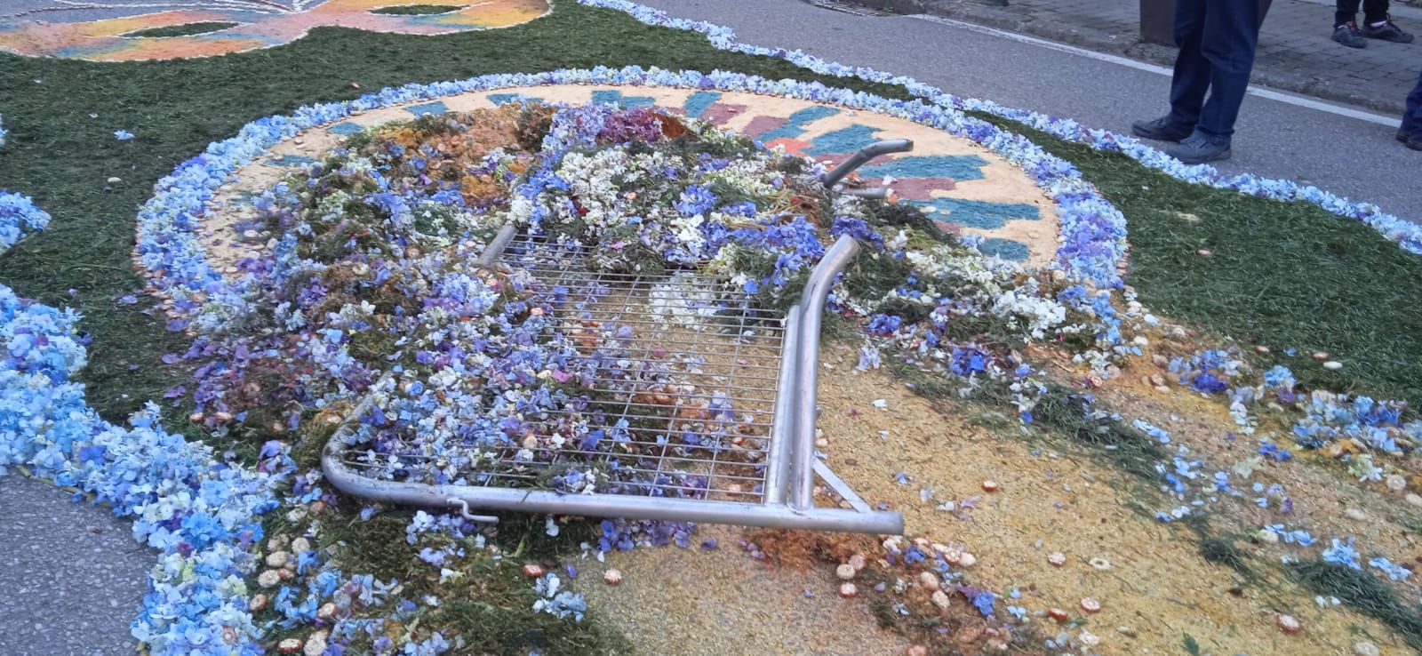 Un coductor destroza las alfombras florales del Corpus de Gondomar