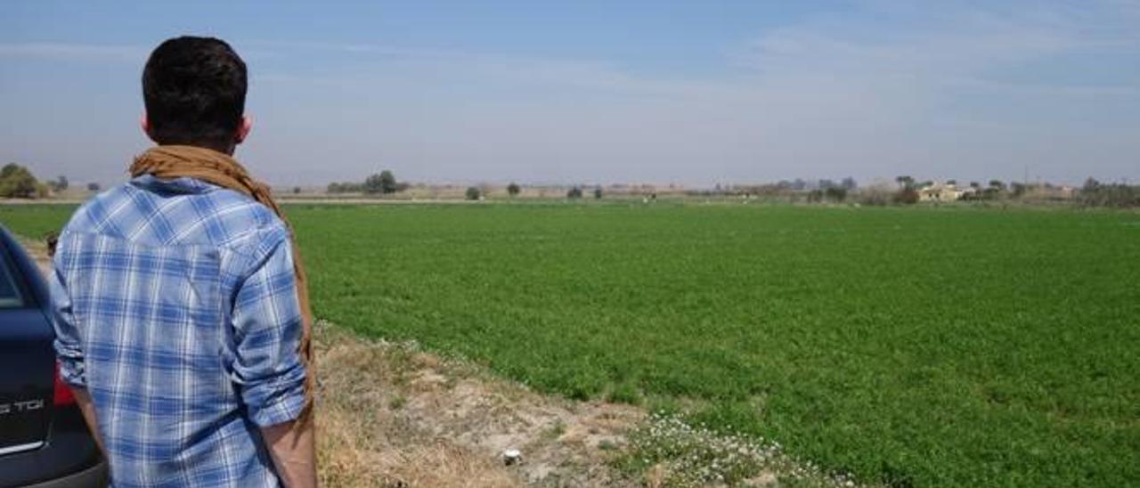 Una imagen de los terrenos de agricultura tradicional en los que se planteó la macrourbanización.