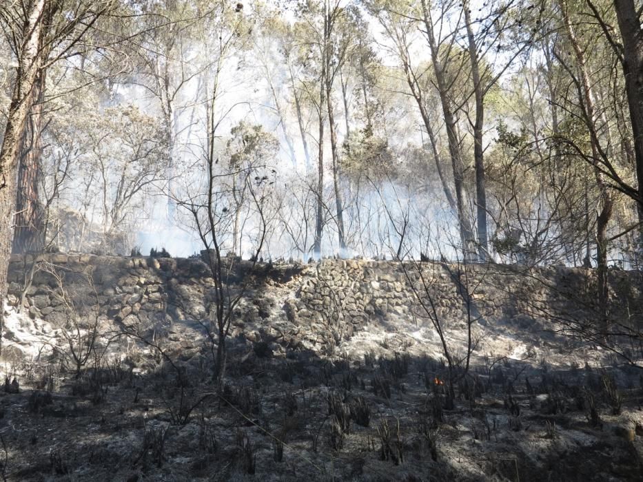 Waldbrand bei Puigpunyent