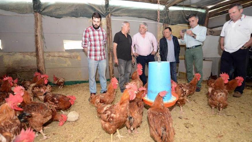 Inaugurado el matadero de pitos de caleya de Morcín