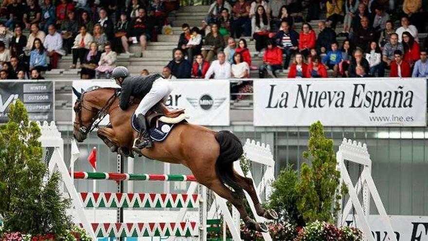 Un participante en el concurso hípico gijonés.