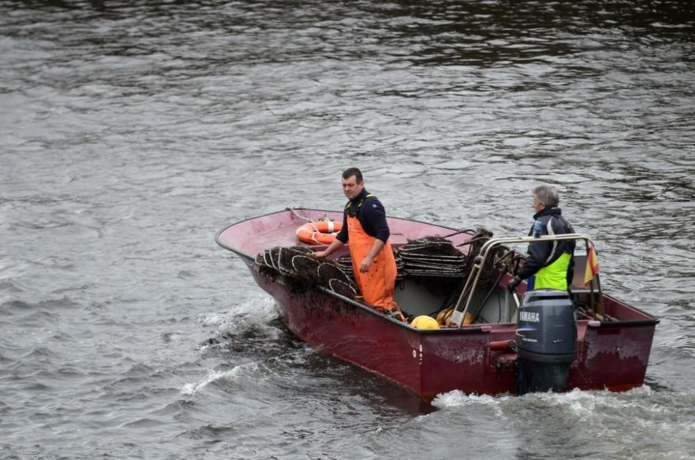 Pesca de lamprea en el río Ulla