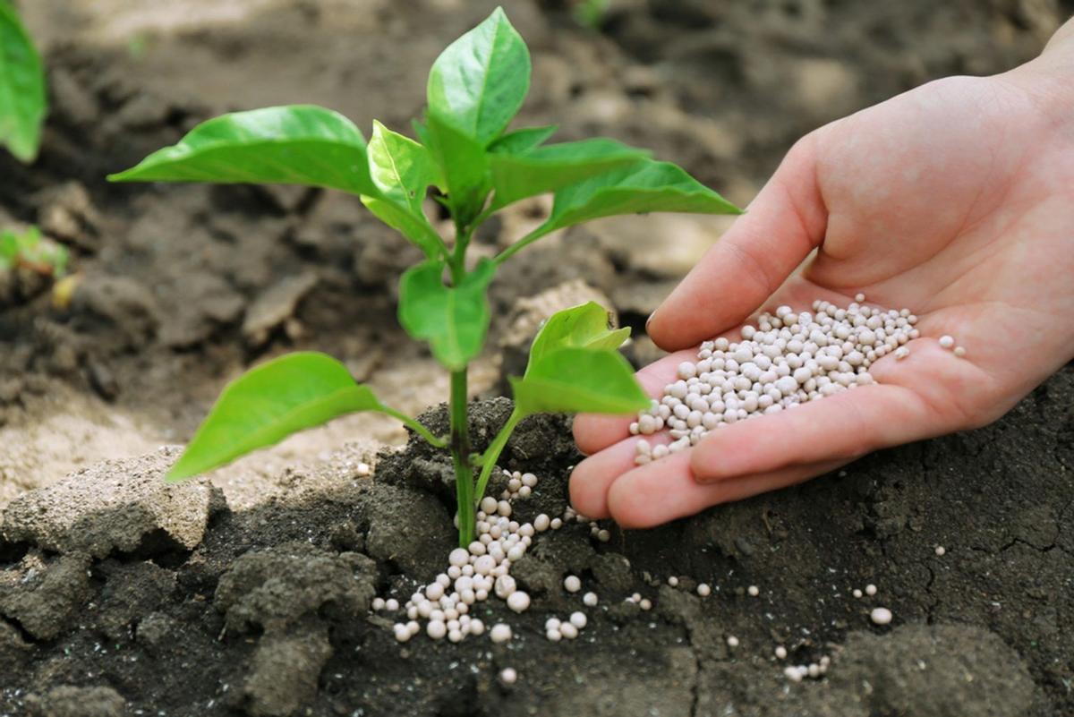 Fertilizante agrícola