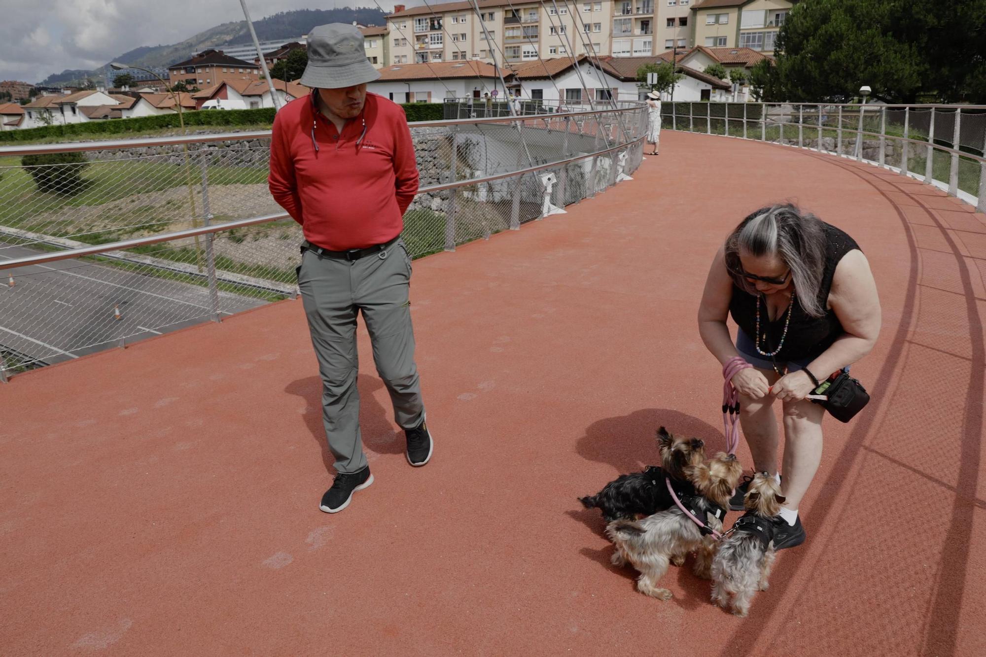 Inauguración del parque lineal de entrada a Oviedo por la "Y"