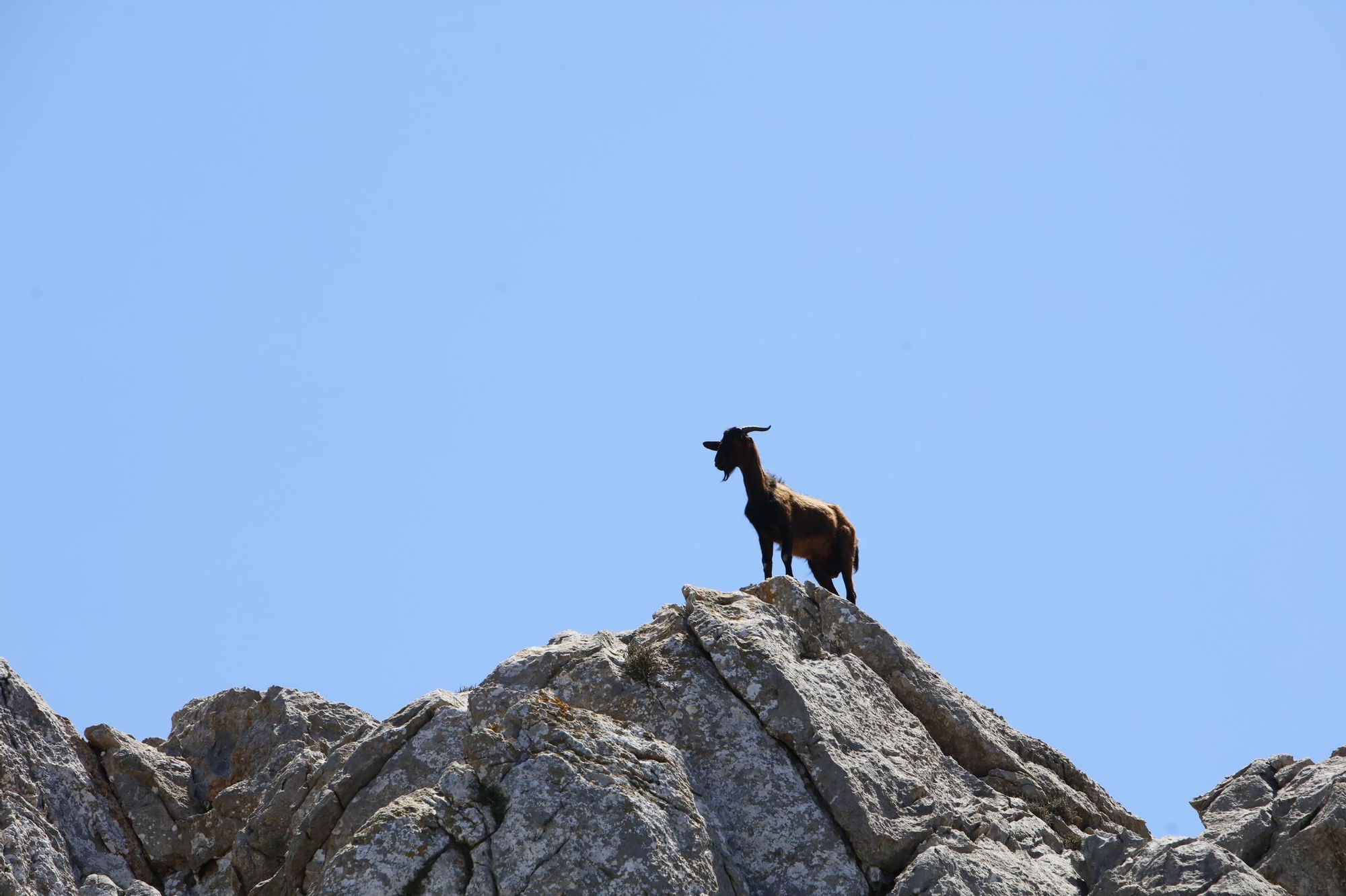 Cap de Formentor: Eindrücke vor der Zufahrtssperre