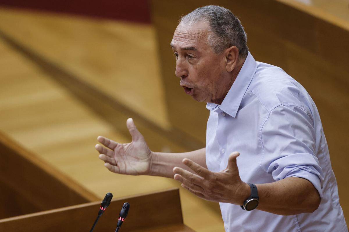 Joan Baldoví, síndic de Compromís, interviene en un pleno de las Corts.