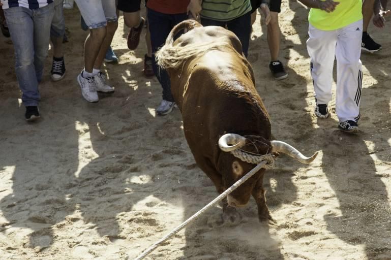 La carrera del Toro Enmaromado 2017 Razonador