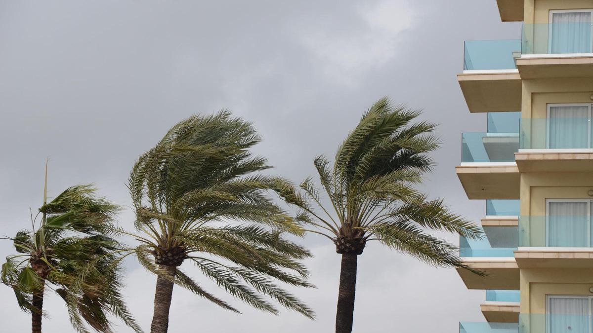 Achtung: Wegen starken Windes gilt am Samstag (7.1.) Warnstufe Gelb auf der Insel.