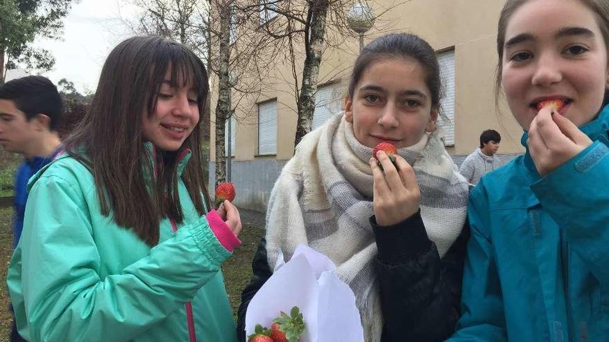 Unas alumnas comen fresas durante el recreo en el centro escolar. // S.A.