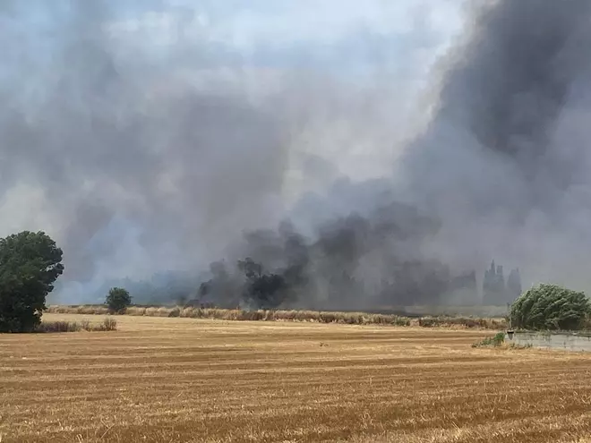 Les imatges de l'incendi a prop del polígon de Logis Empordà