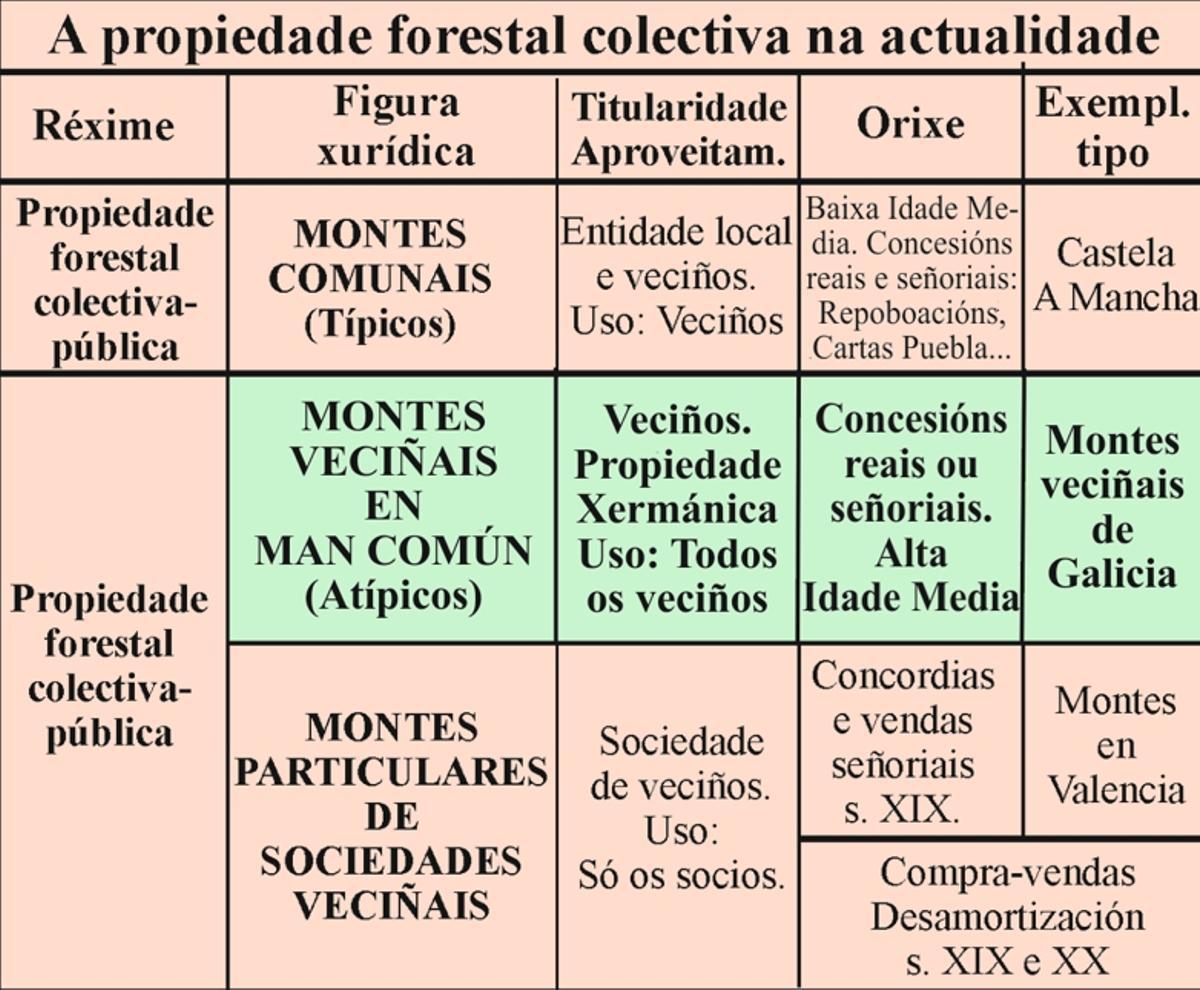A propiedade forestal colectiva na actualidade.