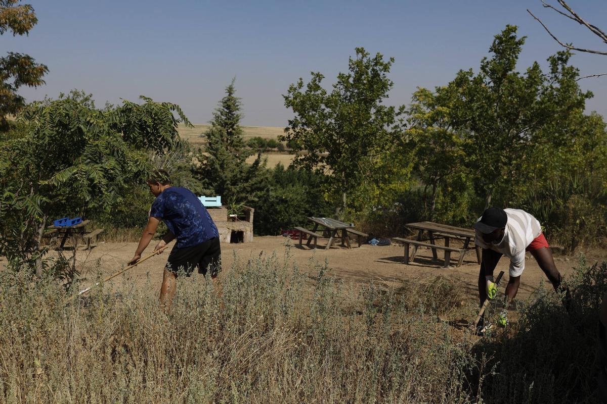 GALERÍA | Cerecinos del Carrizal, sede de un "Campo de Voluntariado"