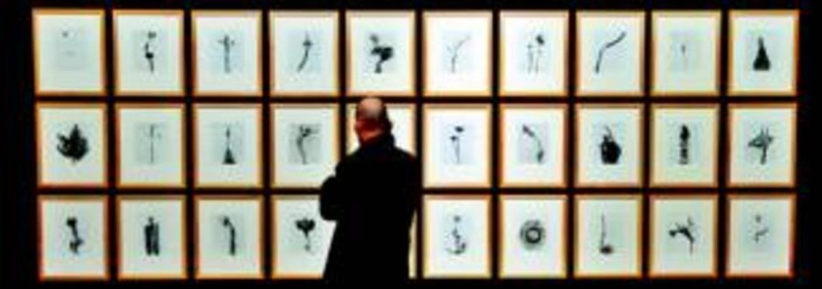 Un visitant observa les fotos de la sèrie Herbarium, en què Fontcuberta crea naturaleses mortes a partir de les escombraries recollides en zones industrials, ahir. Un visitant observa les fotos de la sèrie Herbarium, en què Fontcuberta crea naturaleses mortes a partir de les escombraries recollides en zones industrials, ahir.