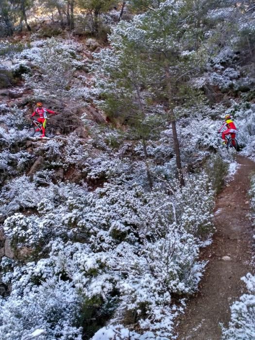 Nieve en La Carrasca, en Sierra Espuña