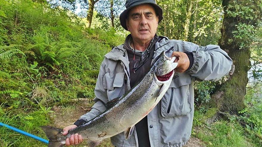 El salmón comienza a verse en el río Ulla, que ya registra cuatro capturas