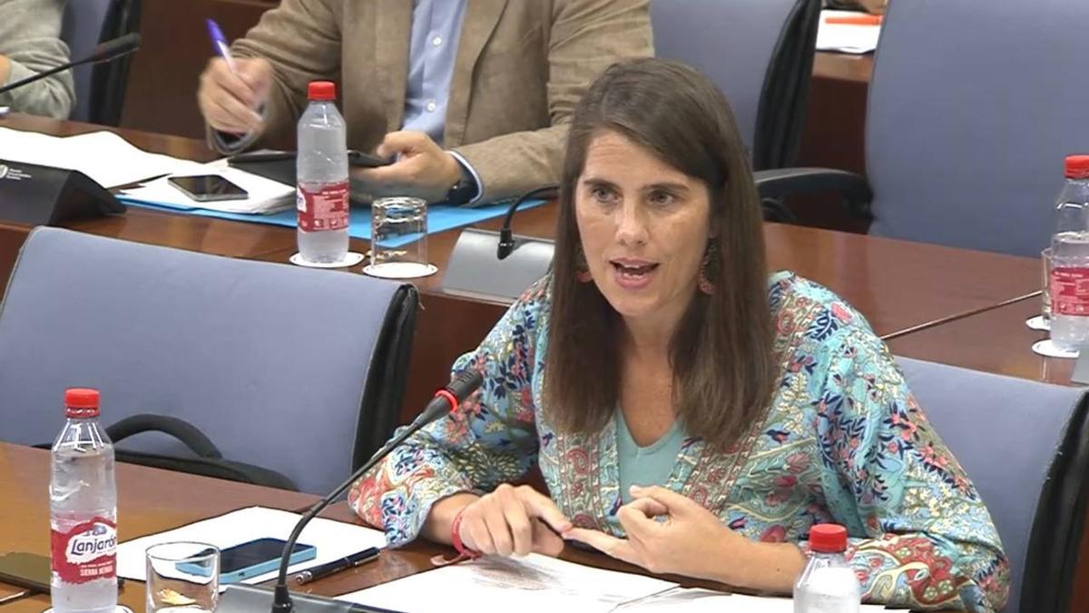 Araceli Cabello, en el Parlamento andaluz.