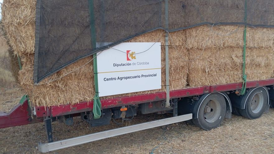La Diputación de Córdoba realiza un envío solidario de forraje alimenticio a los ganaderos afectados por los incendios en Cáceres