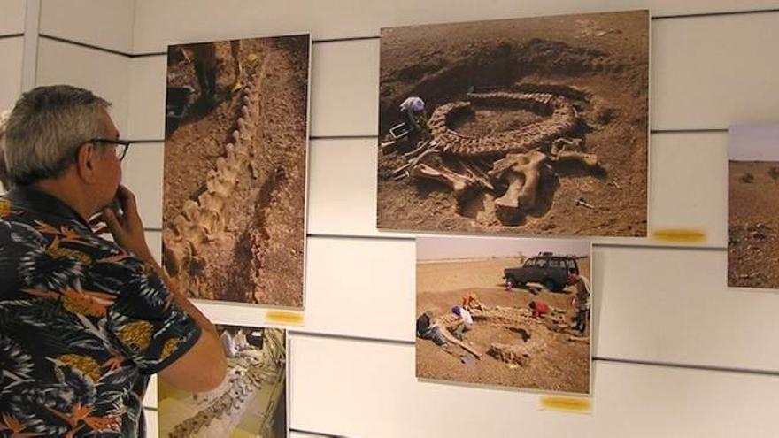 La muestra que se puede visitar en la sala Ámbito Cultural de El Corte Inglés Ciudad de Elche.