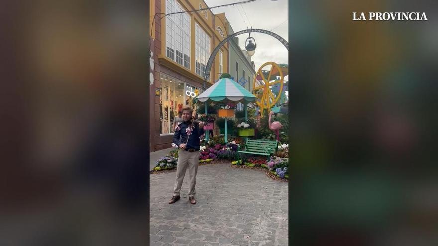 Un violinista eléctrico pone banda sonora a Gáldar en Flor 2026