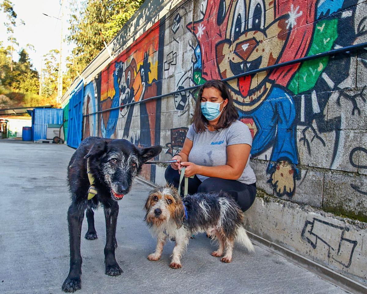 Selene Crespo, con “Celso”, el mayor, y “Slash”, en el Refugio de Cambados.  | // IÑAKI ABELLA
