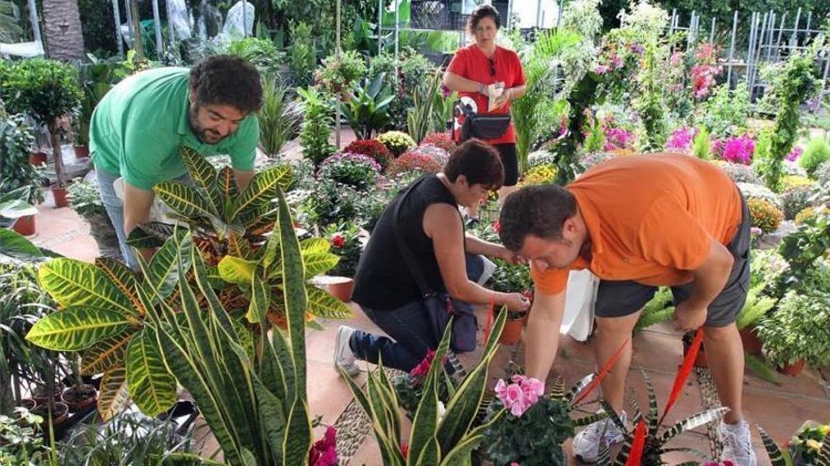 Actividad organizada en el Jardín Botánico de Córdoba.