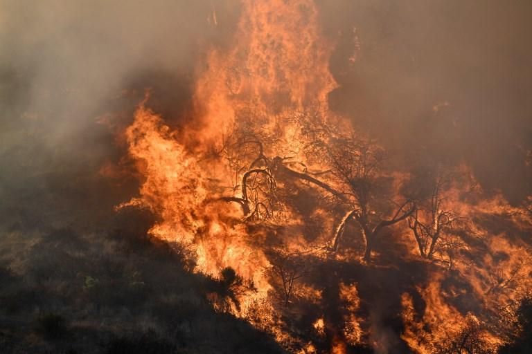 El devastador incendio de California, en imágenes