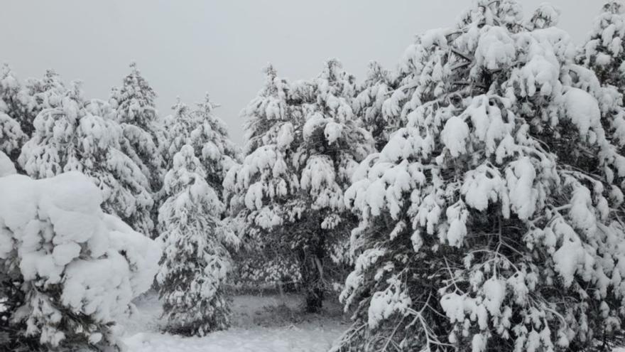 La borrasca mediterránea trae la nieve a Murcia