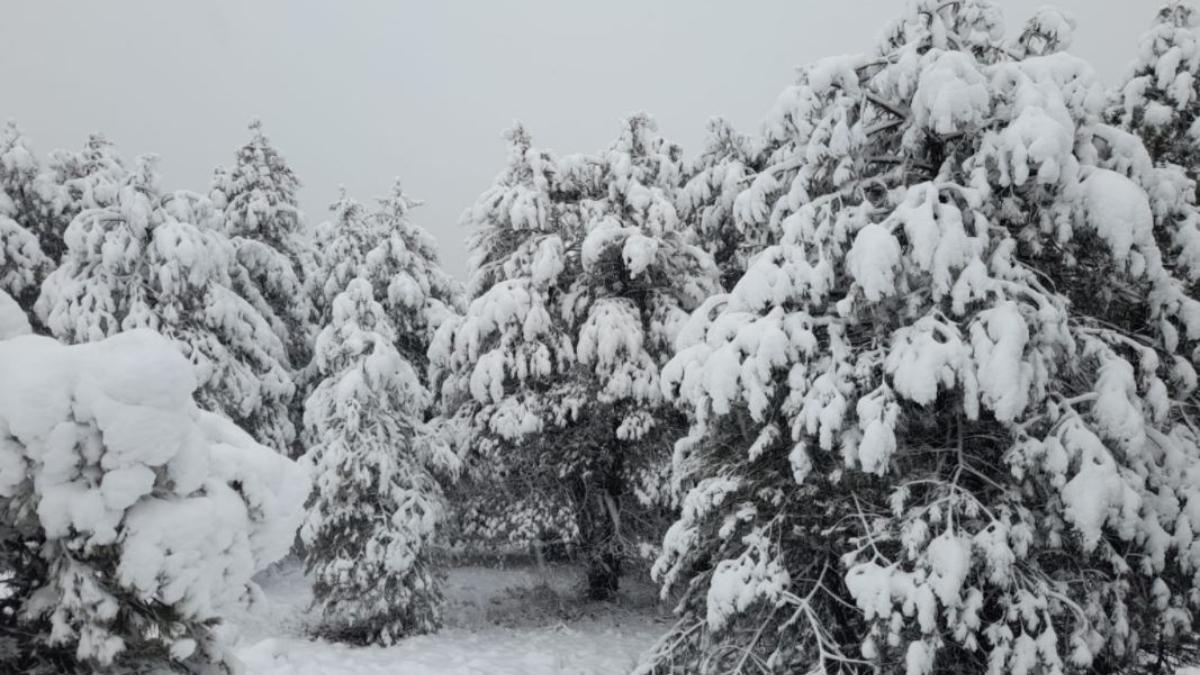 Nieve en la Sierra de Villafuerte, en Moratalla