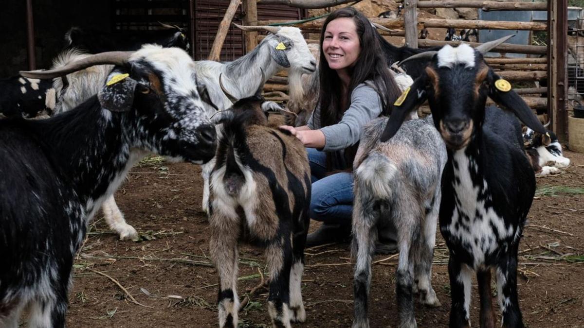 Jenifer Santos entre parte de su rebaño de cabras en la finca ubicada en el municipio sureño de Arafo. | | EL DÍA