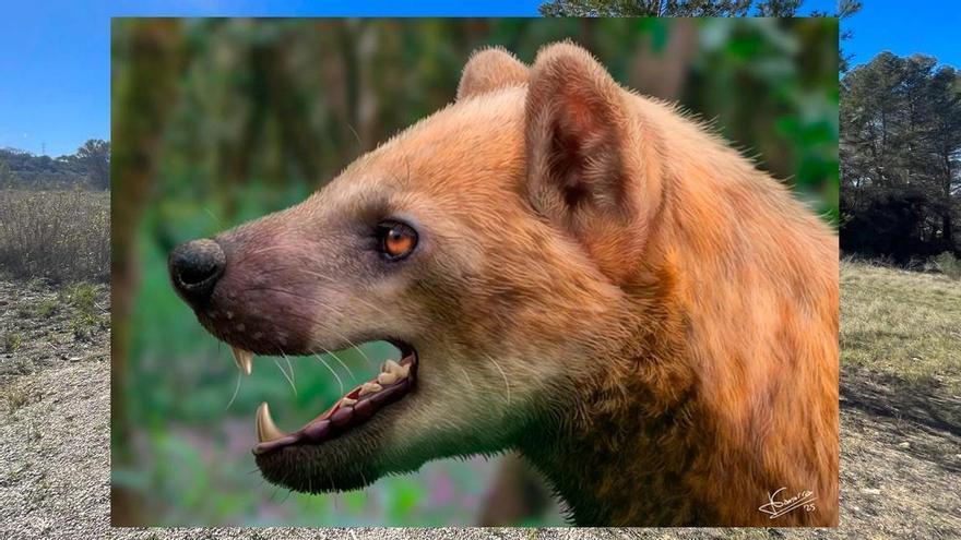 Descubren un ‘perro-oso’ que vivió hace 16 millones de años en Cataluña