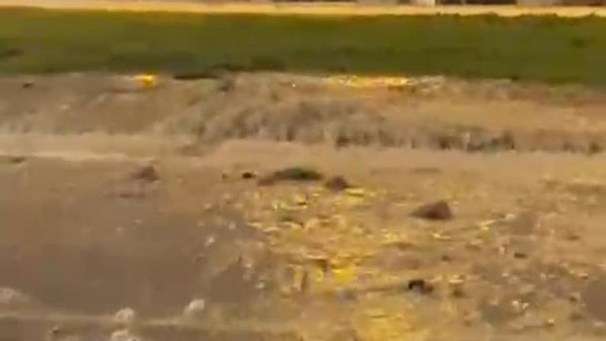 Espectacular vertido de aguas fecales en el Portitxol por la rotura de una tubería