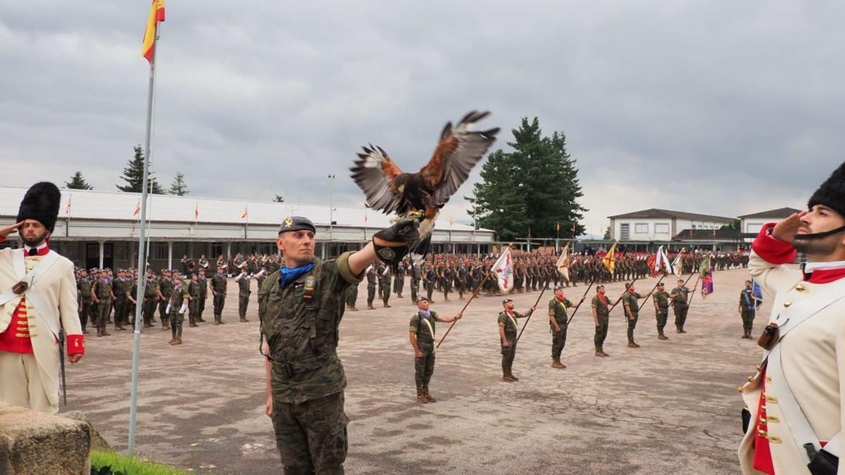 Se hizo volar al azor, símbolo de la unidad