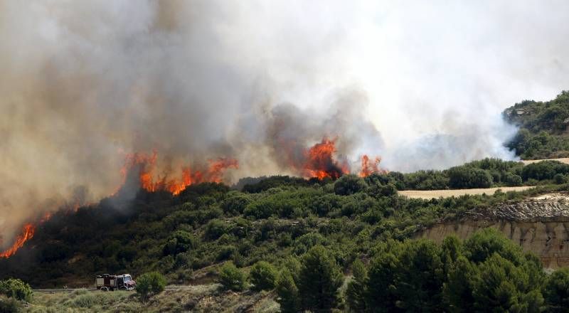 Fotogalería del incendio en el término de Luna en las Cinco Villas