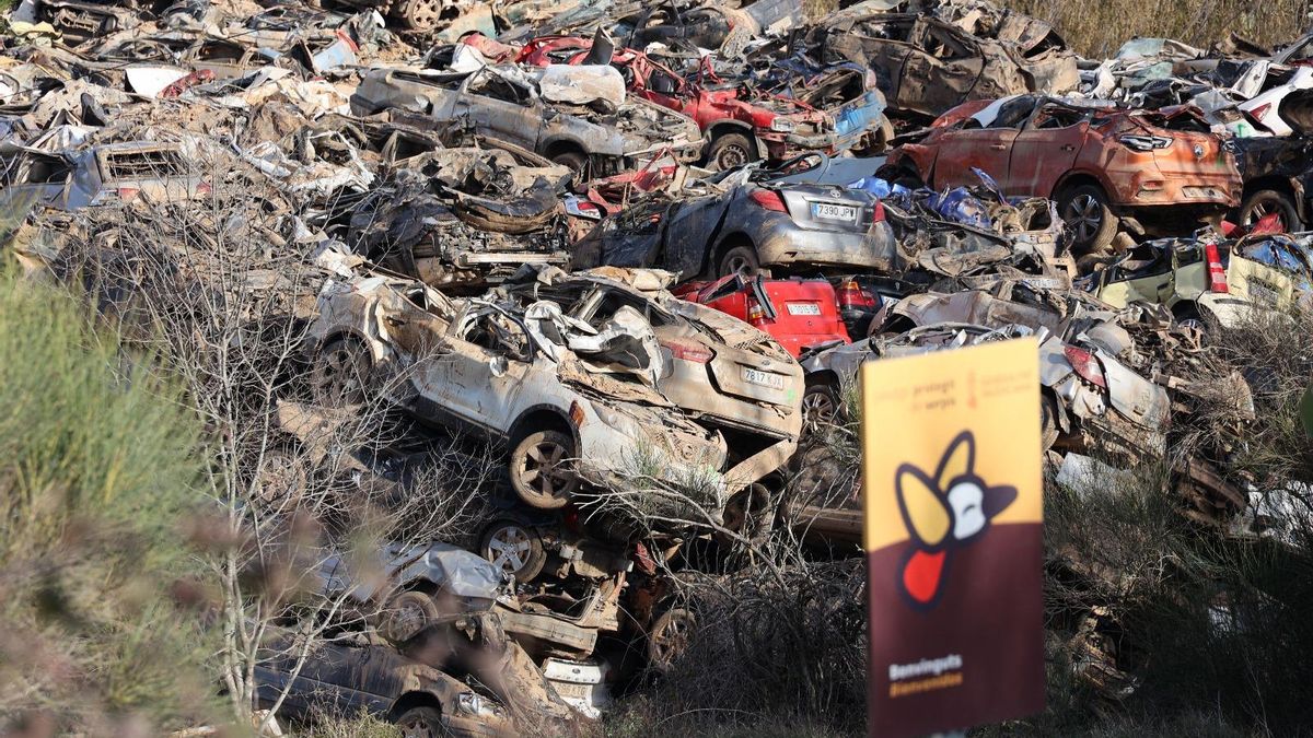 Cientos de coches para desguazar de la dana se acumulan junto a un río en Muro