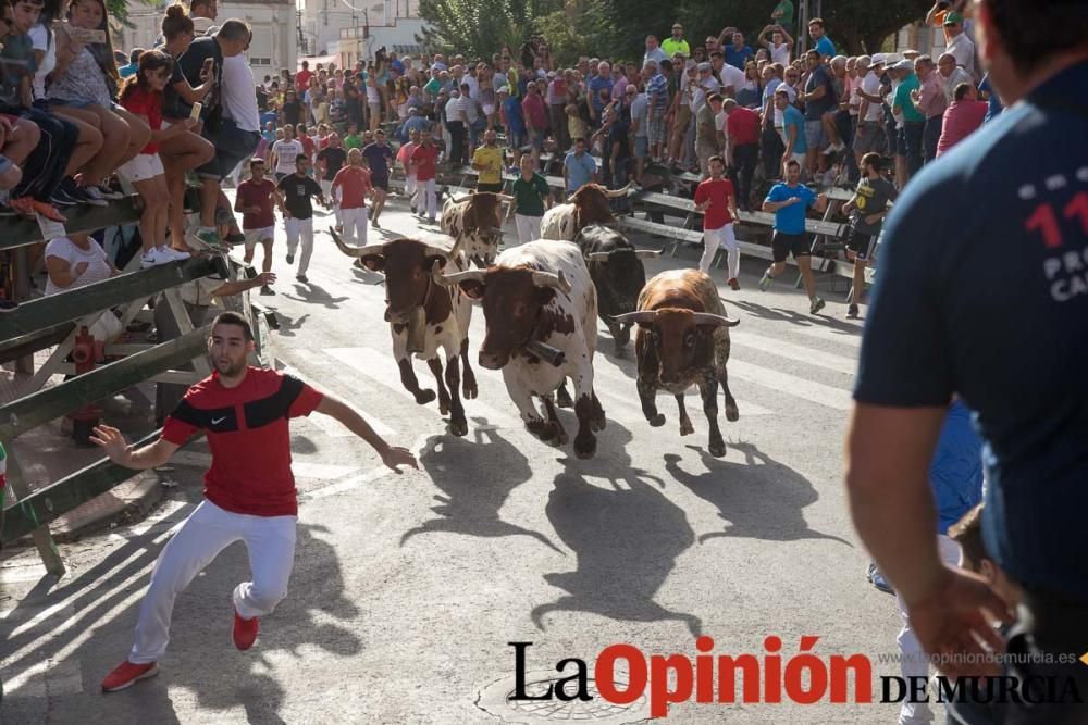 Tercer encierro en Calasparra