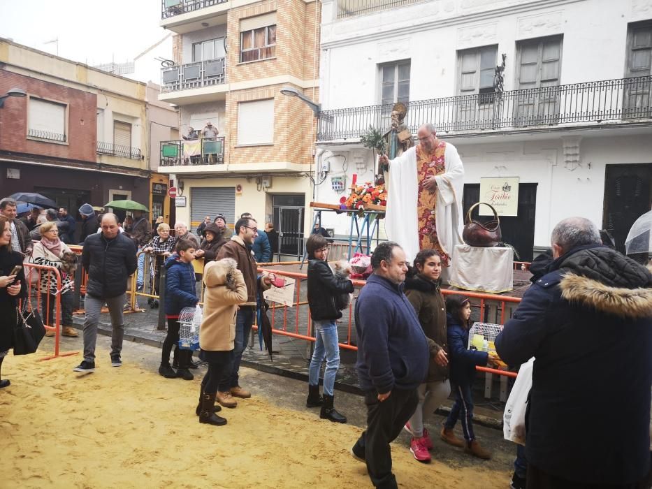 Bendición de animales en Xirivella.