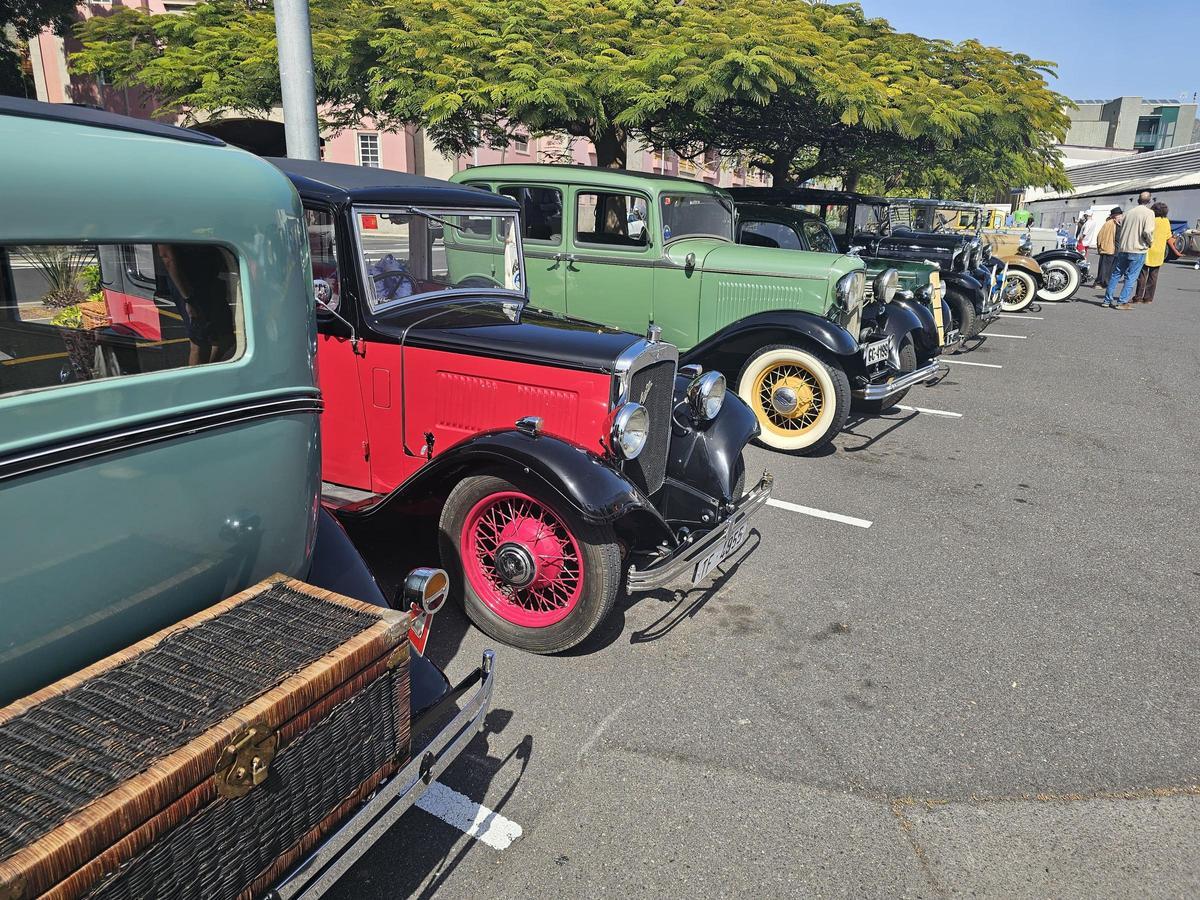 Así han paseado por Santa Cruz los coches antiguos y engalanados