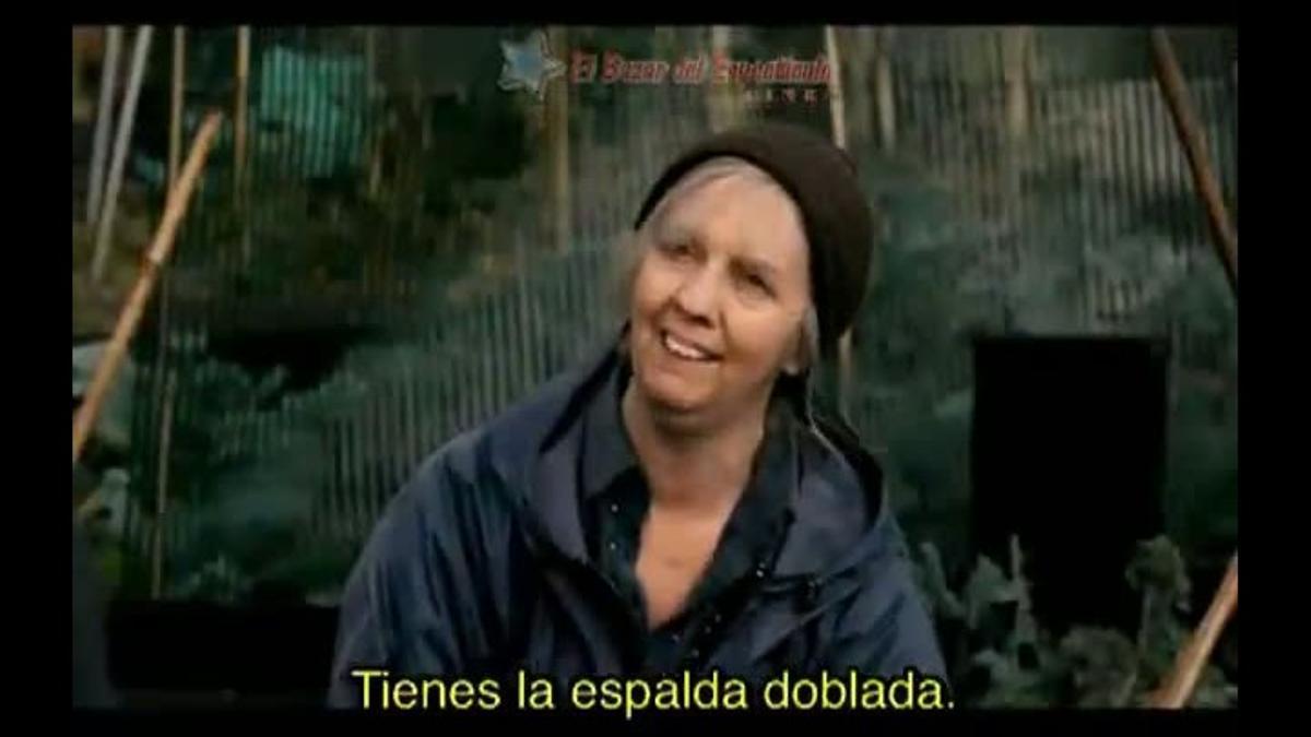 Tràiler amb subtítols en espanyol.