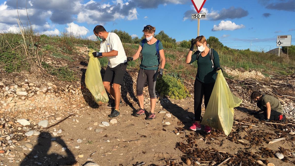 Jornada de recogida de plásticos en la playa que une Alcúdia y Pollença