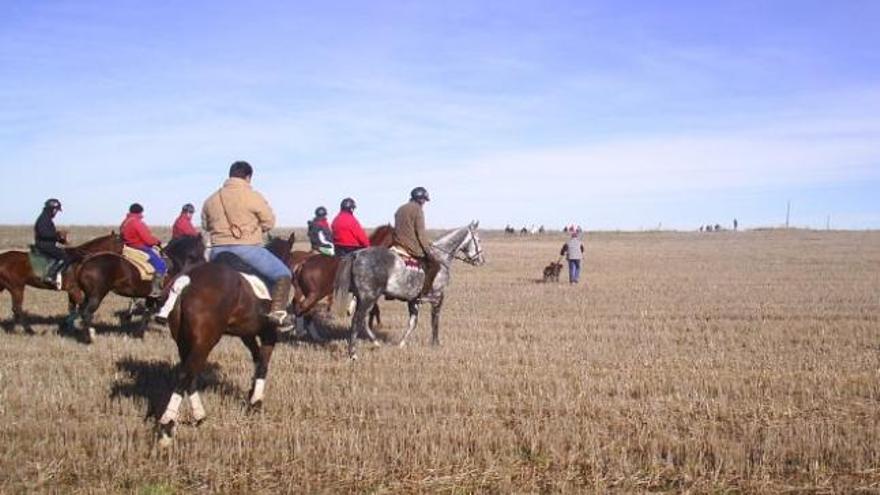 Los comisarios siguen a la collera en una reciente competición