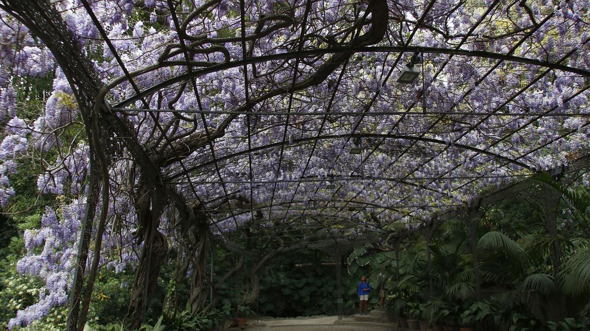 Imagen de la Finca de La Concepción