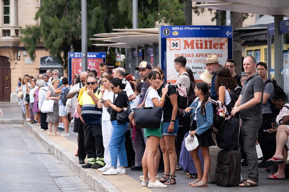 Las fotos del colapso en Palma que ha suturado calles, aparcamientos, buses y servicio de taxi