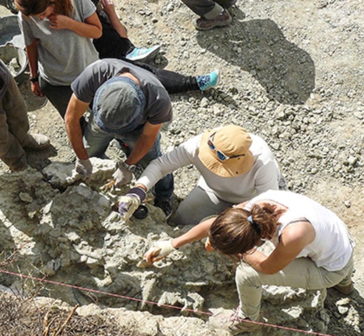 Equipo de Biología Evolutiva de la UNED en una excavación. | UNED