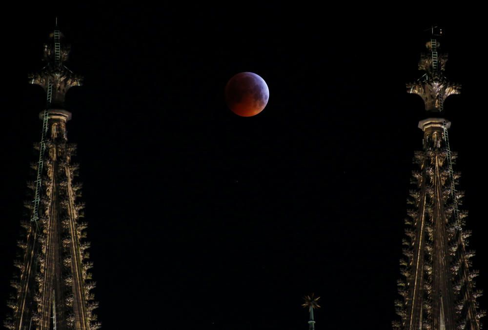 Les millors imatges de l''eclipsi de lluna