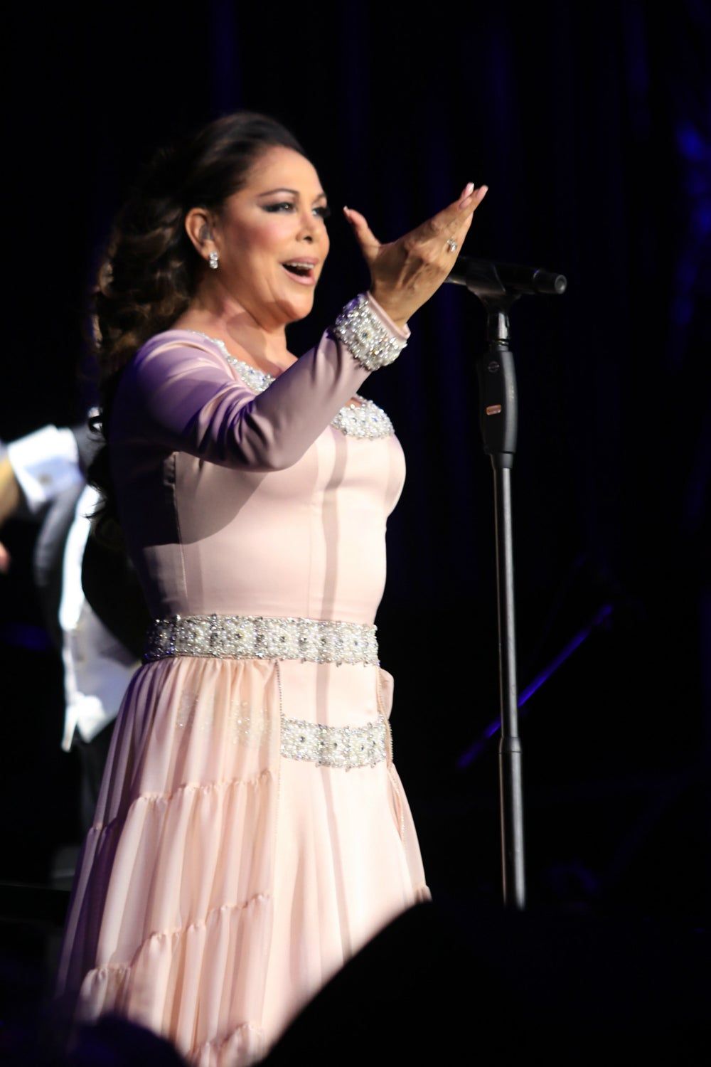 Isabel Pantoja en un concierto