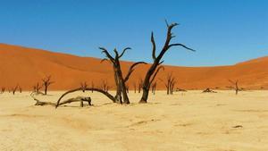 El Valle de la Muerte de Namibia.