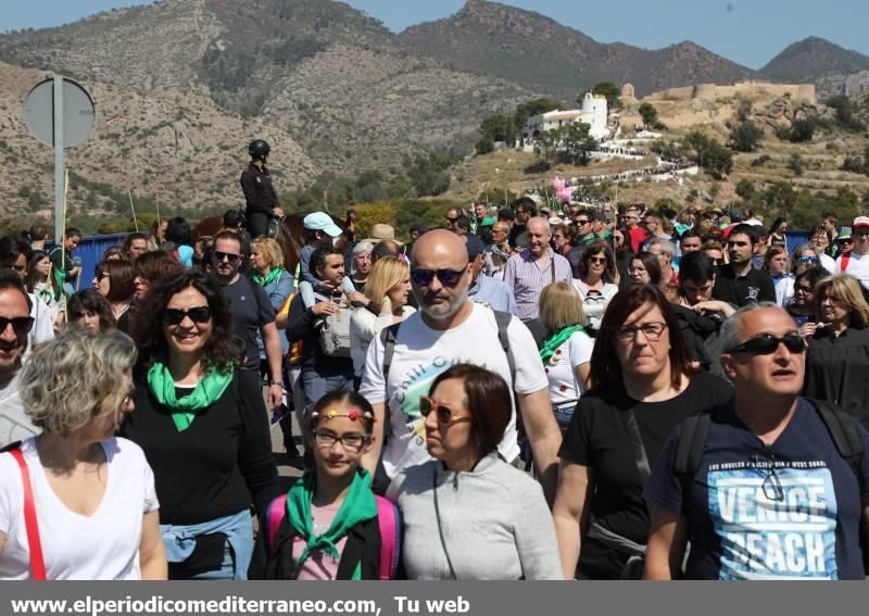 Romeria de les Canyes a la Magdalena