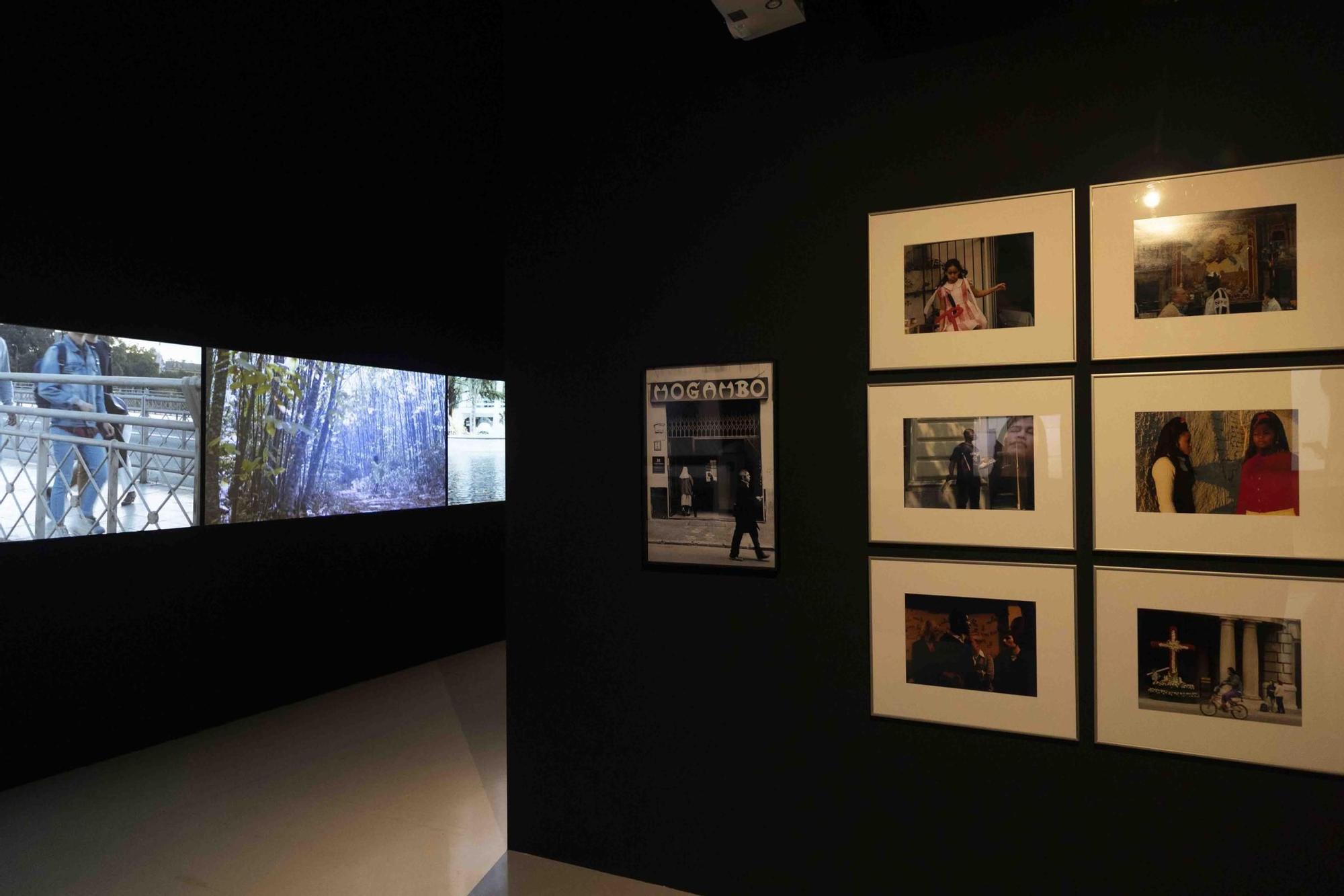 Exposición popular en el IVAM