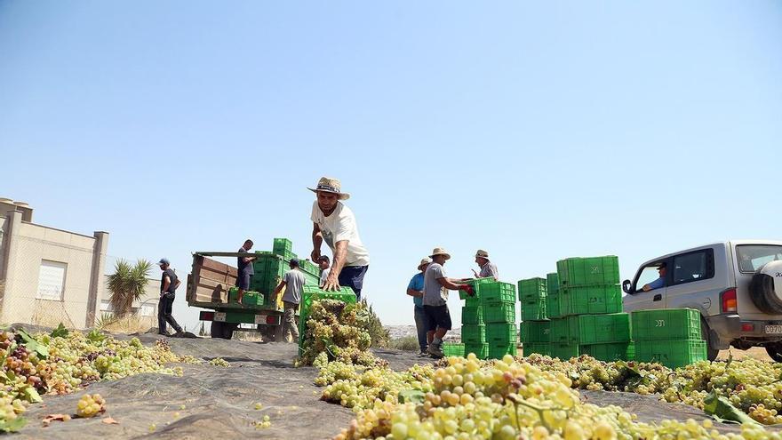Bodegas La Aurora logra la máxima puntuación del Concurso España Selección